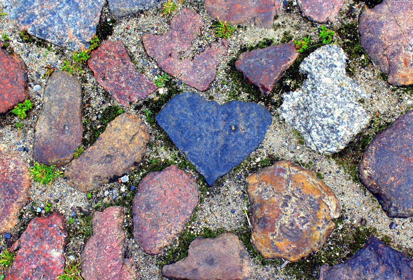 Canon EOS 1200D (EOS Rebel T5 / EOS Kiss X70 / EOS Hi) sample photo. The stones, the background photography