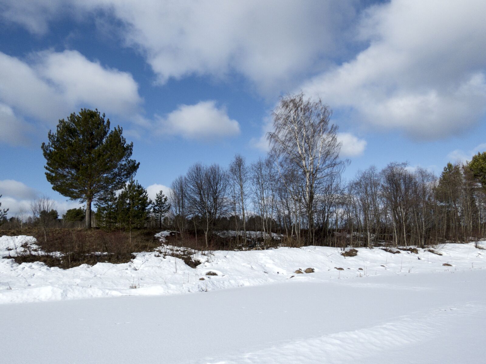 Canon PowerShot SX60 HS sample photo. Landscape, trees, sky photography