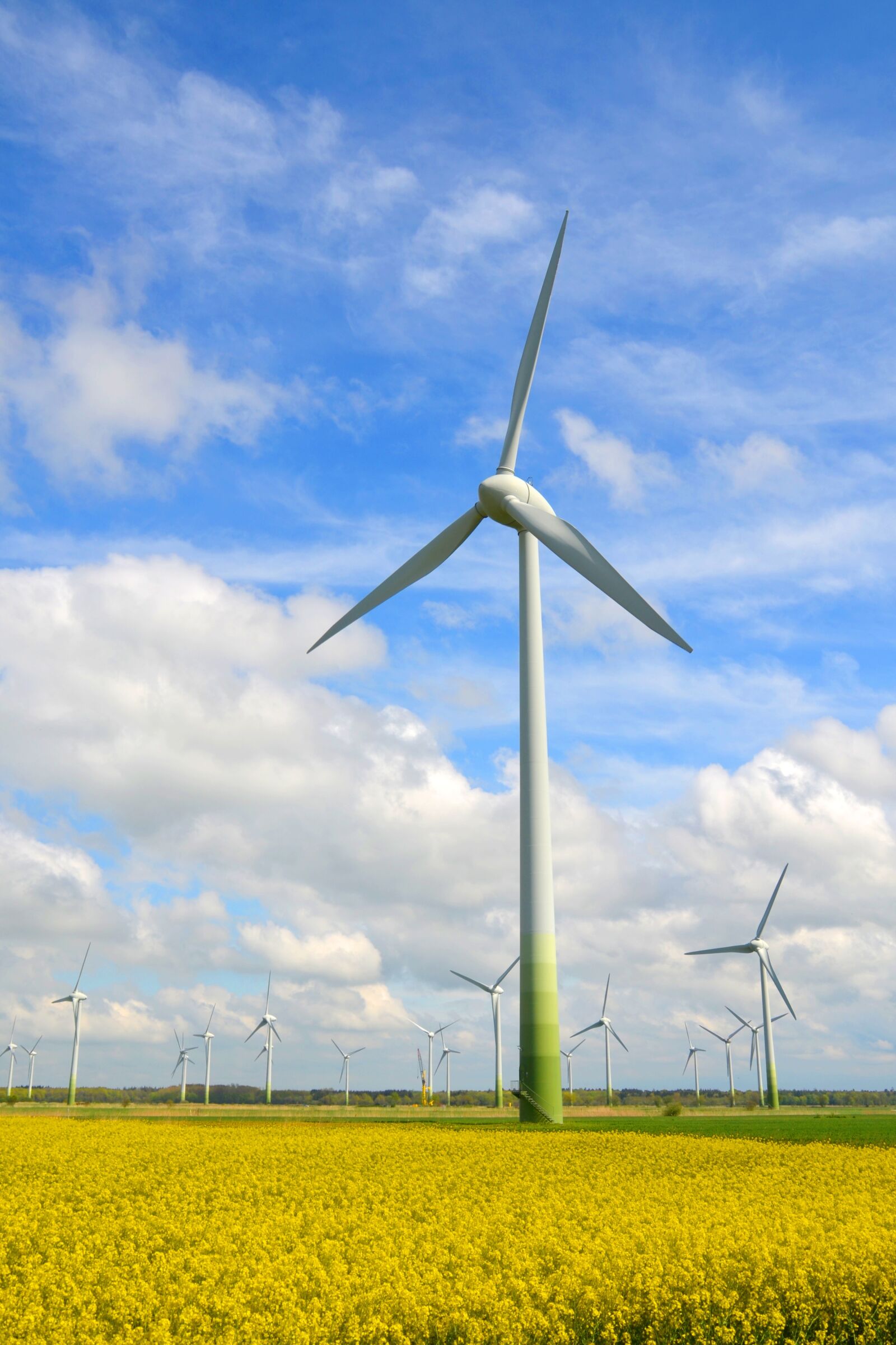 Nikon D5100 sample photo. Windmill, pinwheel, wind energy photography