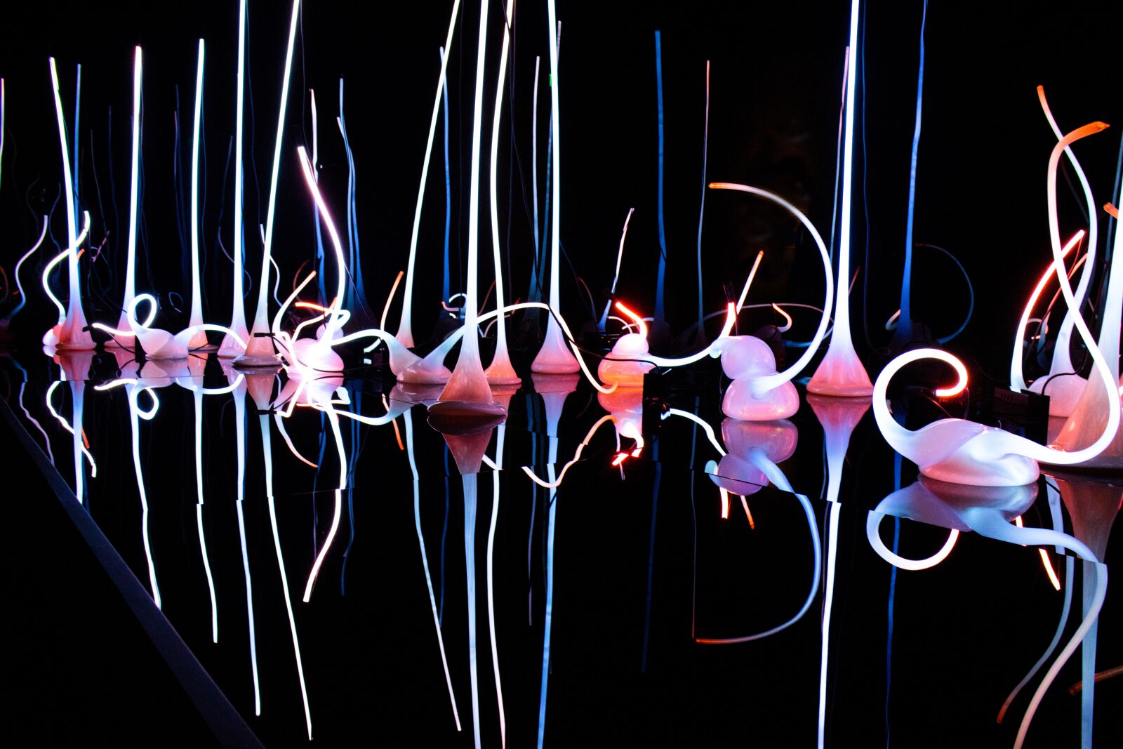Canon EOS M3 sample photo. Seattle, chihully, museum photography