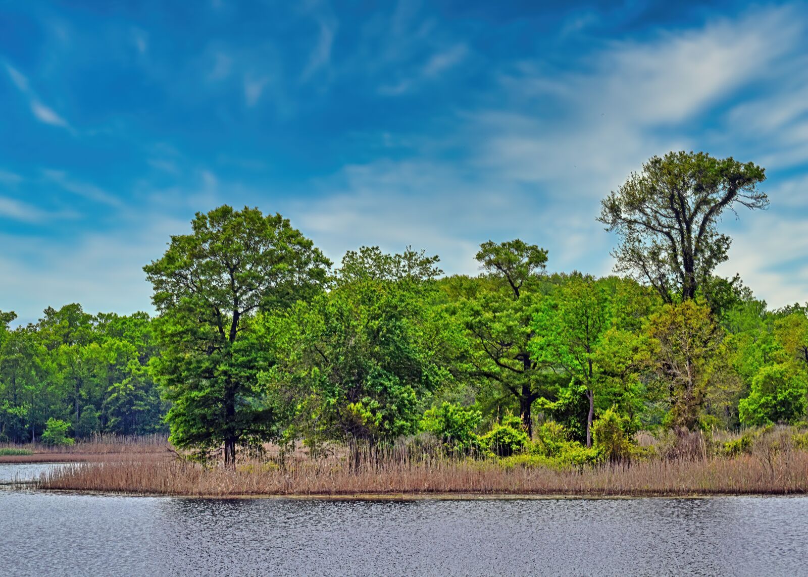 Nikon D3300 sample photo. Water, marsh, sky photography