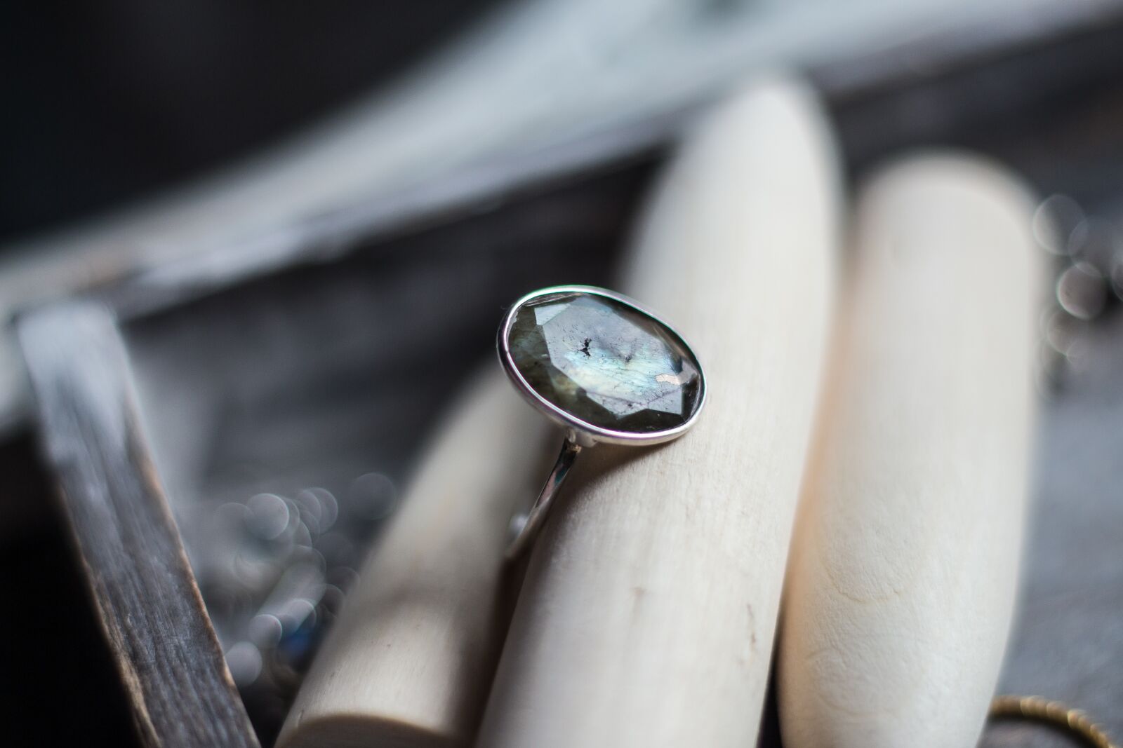 Canon EOS 700D (EOS Rebel T5i / EOS Kiss X7i) + Canon EF 50mm F1.8 STM sample photo. Ring, labrador, natural stone photography