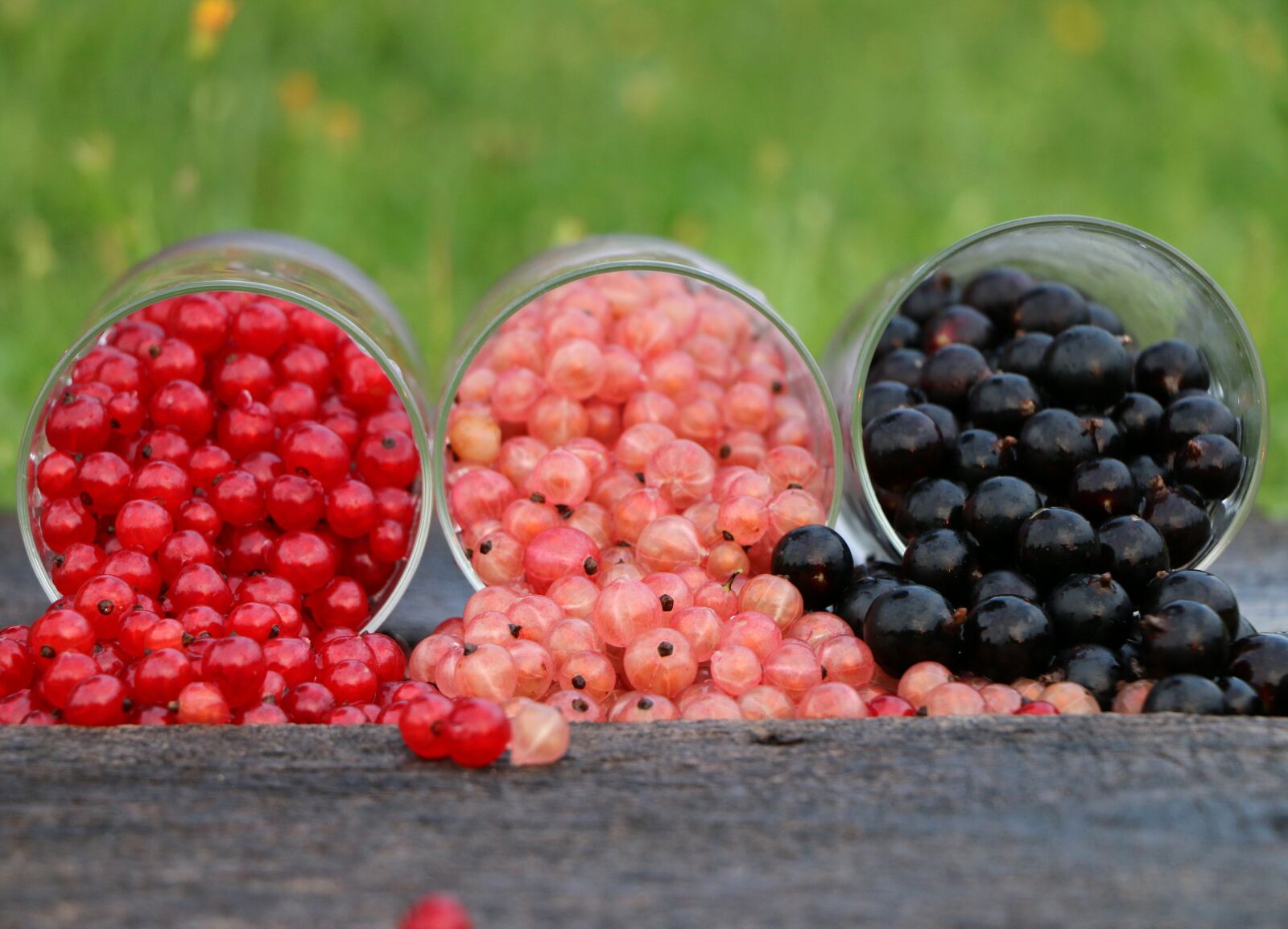 Canon EOS 70D sample photo. Currant, grade, glass photography
