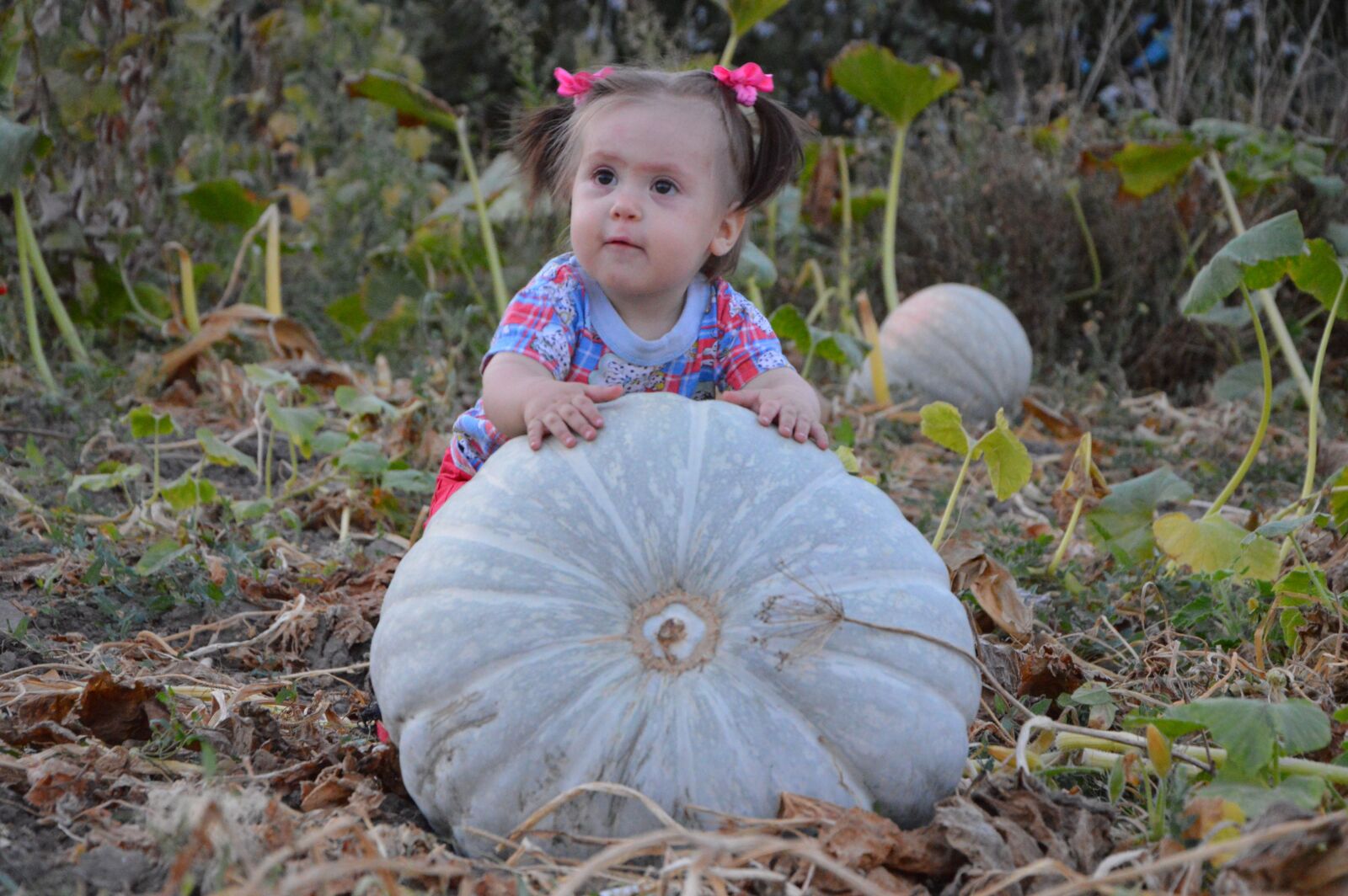 Nikon D3200 sample photo. Girl, small, the little photography