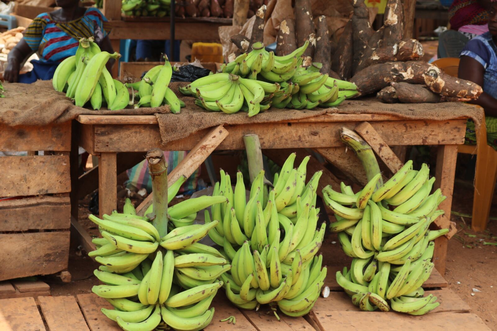 Canon EOS 750D (EOS Rebel T6i / EOS Kiss X8i) sample photo. Plantain, africa, banana photography