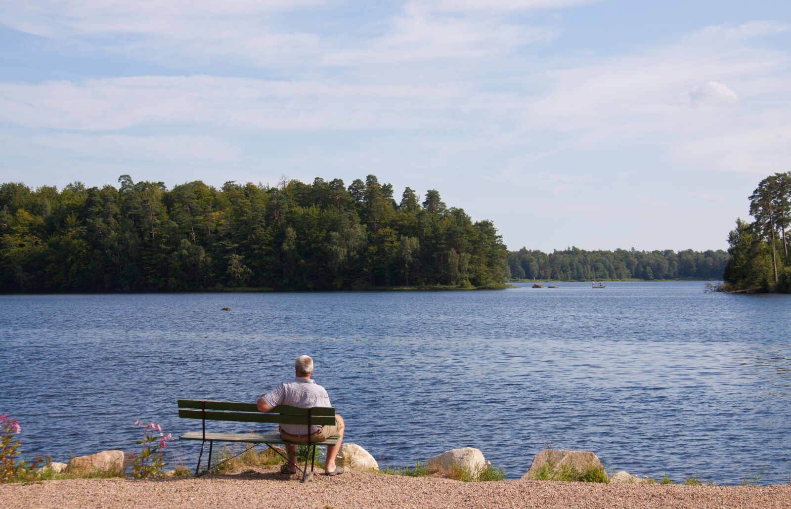 Canon EOS 50D sample photo. Lake, forest, woods photography