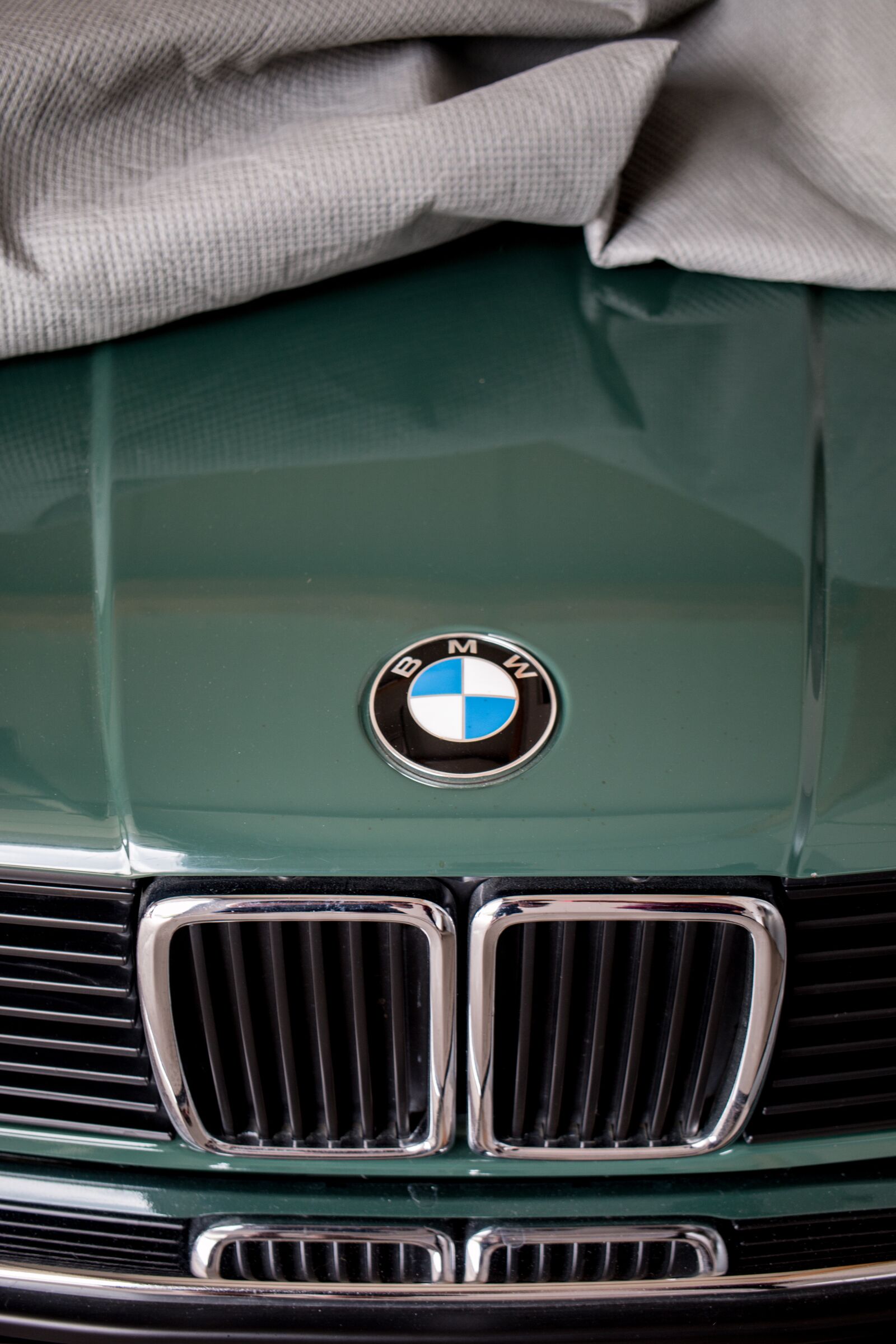 Canon EOS 70D sample photo. Bmw, hood, cooler photography