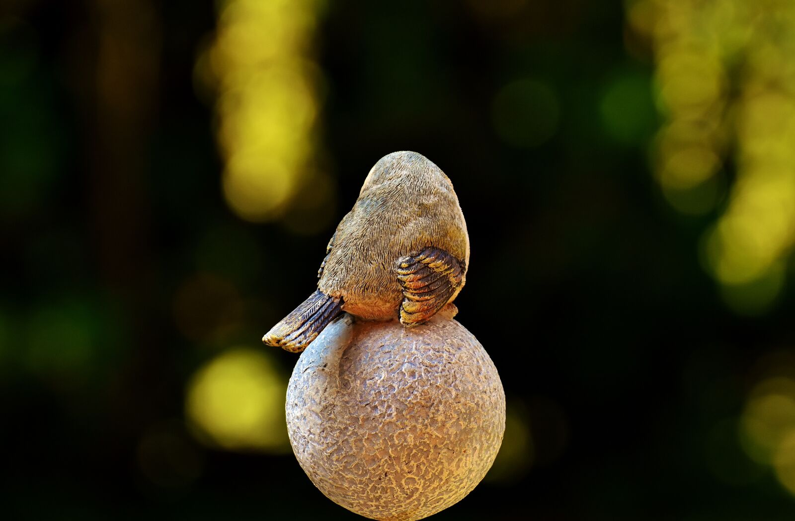 Nikon D7200 sample photo. Bird, figure, stone photography