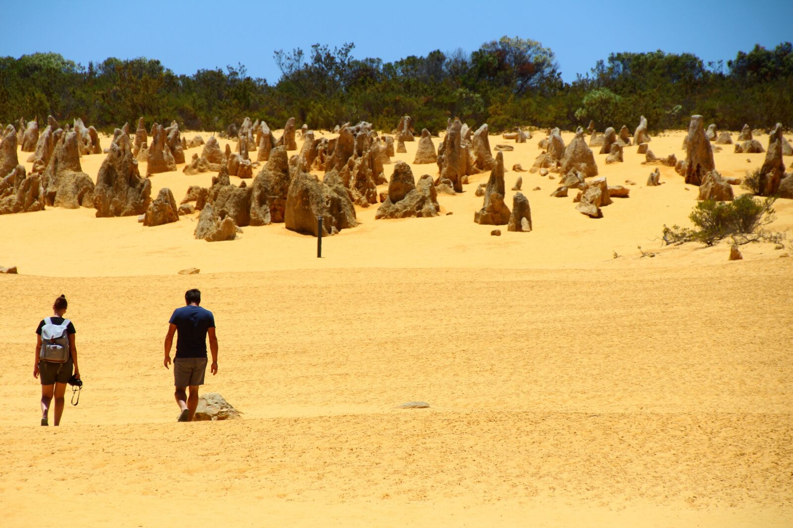 Canon EOS 700D (EOS Rebel T5i / EOS Kiss X7i) sample photo. Send to the desert photography