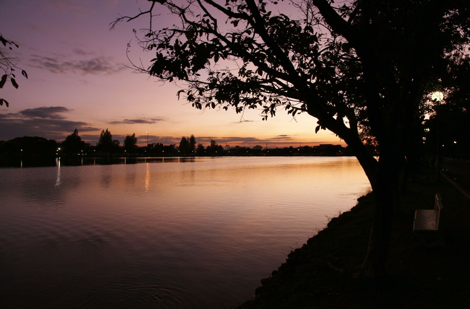 Canon EOS 650D (EOS Rebel T4i / EOS Kiss X6i) sample photo. Tree, sunset, sky photography