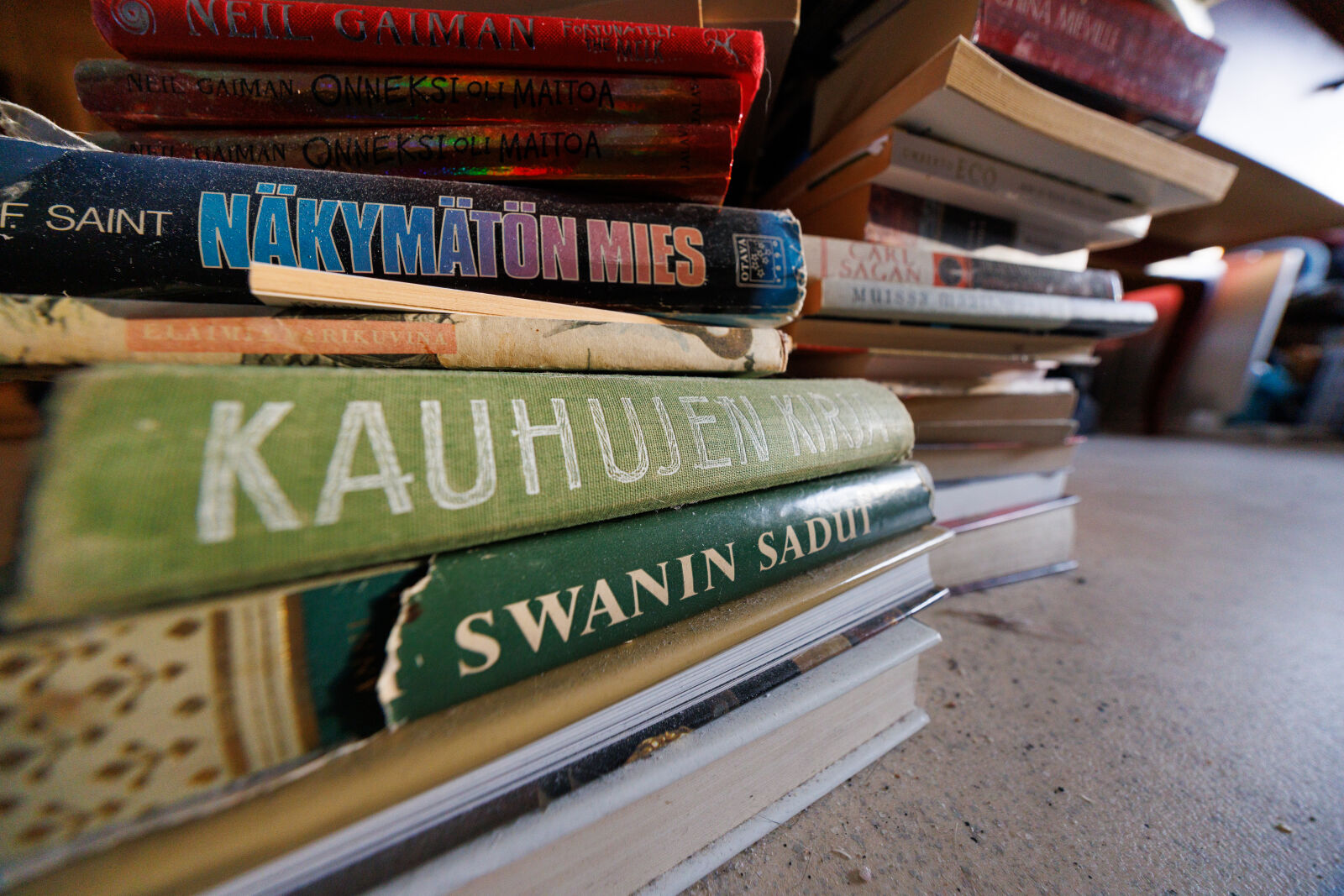 Canon RF 10-20mm F4 L IS STM sample photo. Pile of books photography