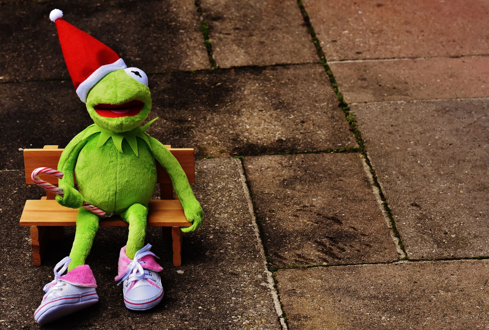 Nikon D7200 sample photo. Kermit, frog, christmas photography