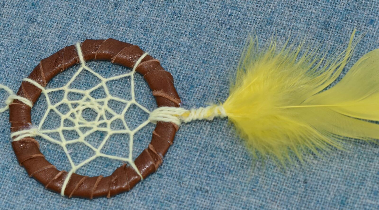 Nikon D5500 sample photo. Circle, object, upclose, pattern photography