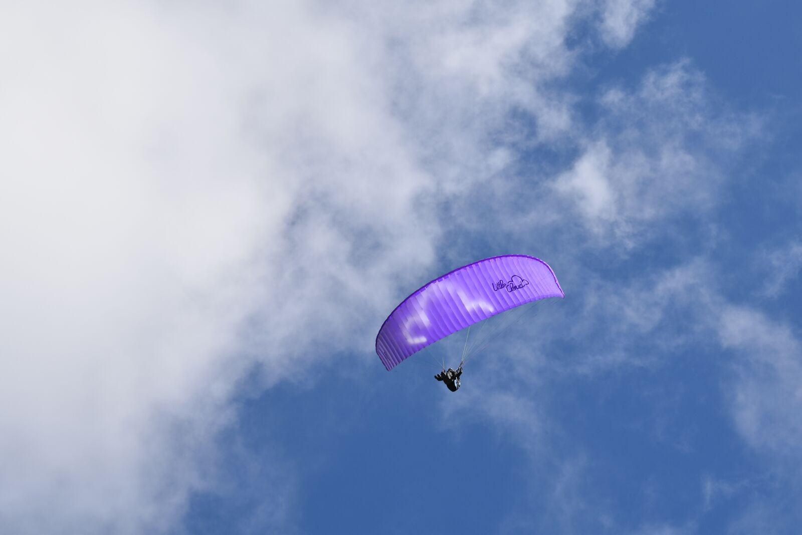 Nikon D5600 sample photo. Paragliding, paraglider, aircraft photography