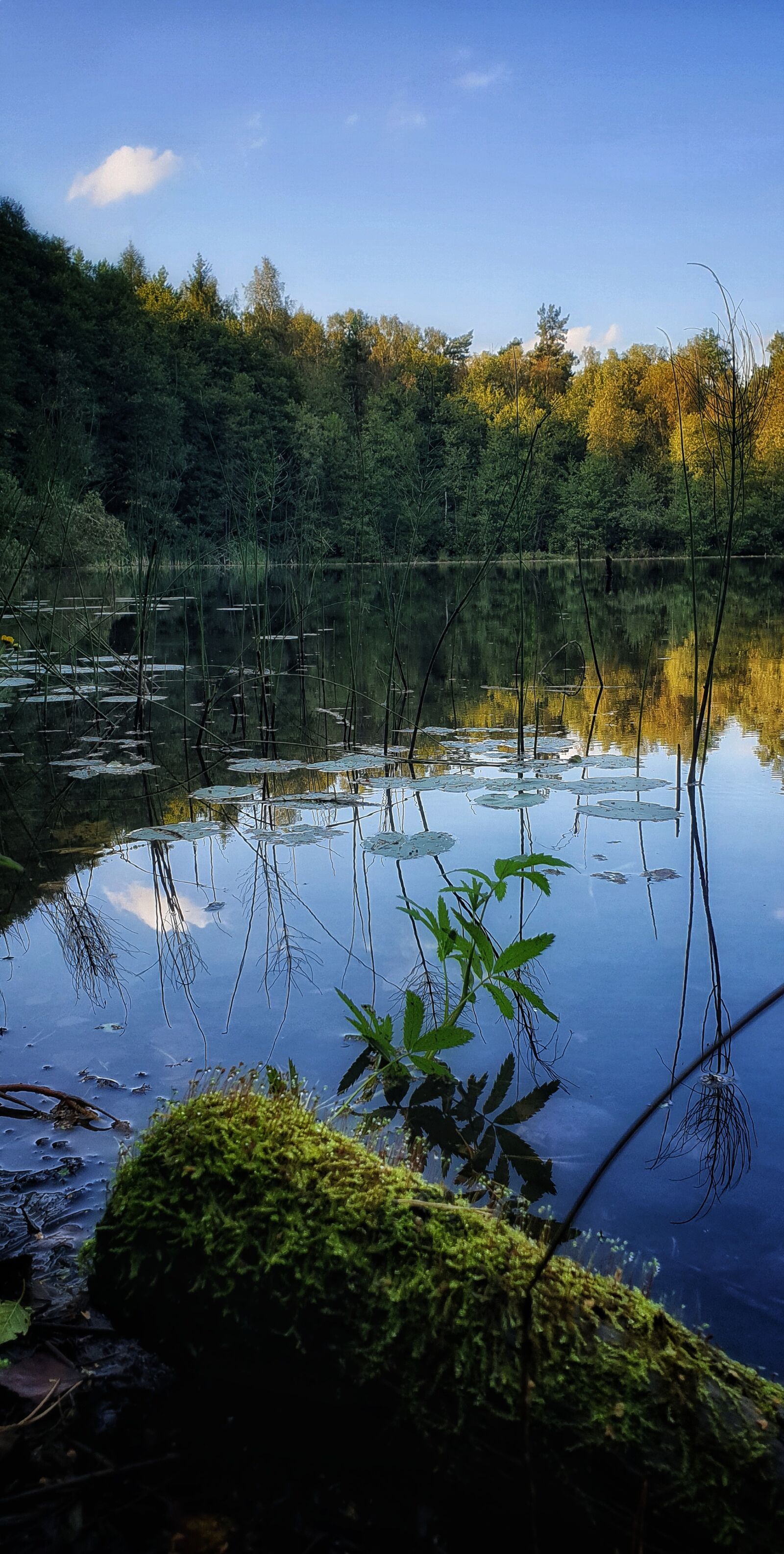 Samsung Galaxy S9+ sample photo. Reflection, lake, mood photography