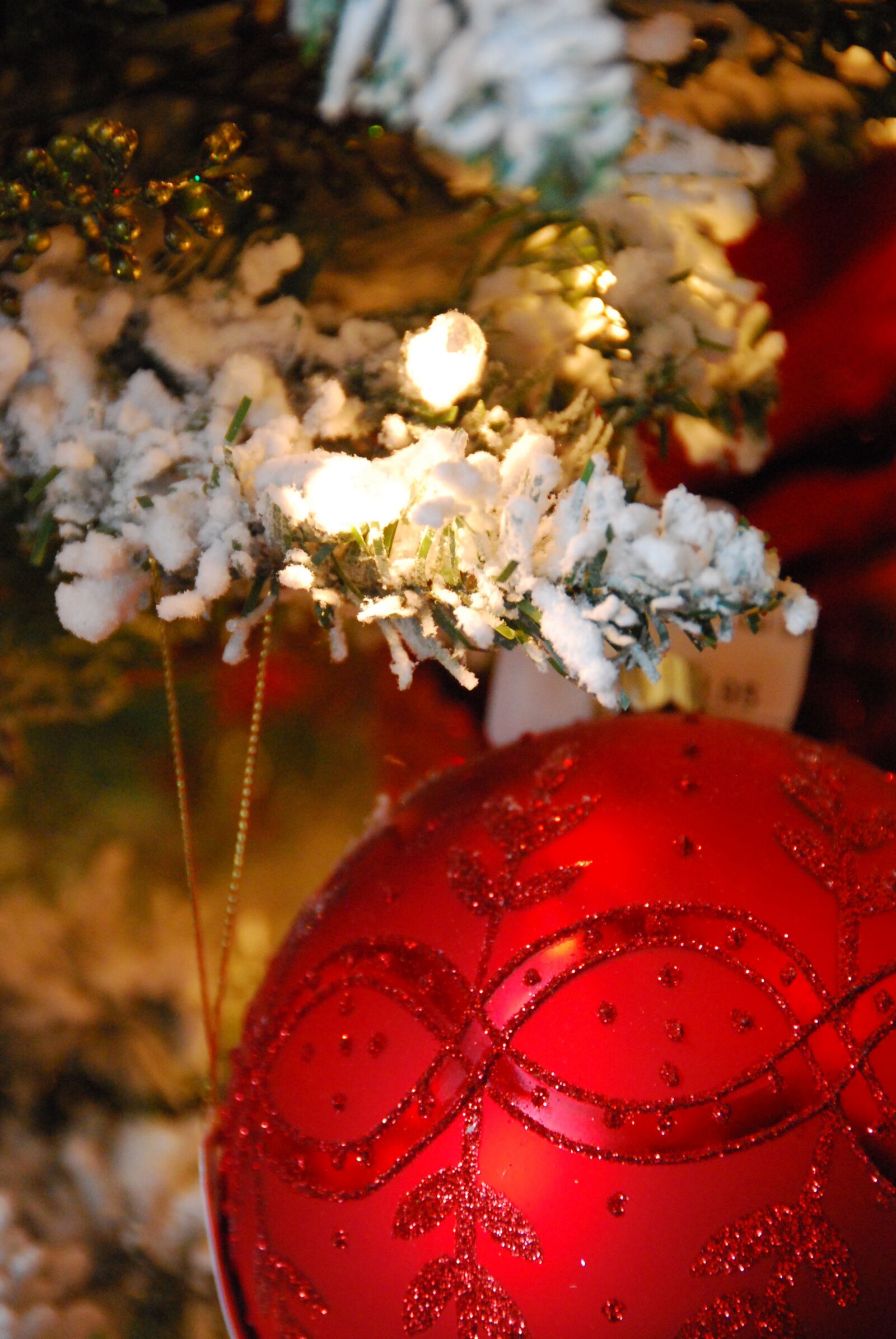 Nikon D60 sample photo. Christmas, ornament, festive photography