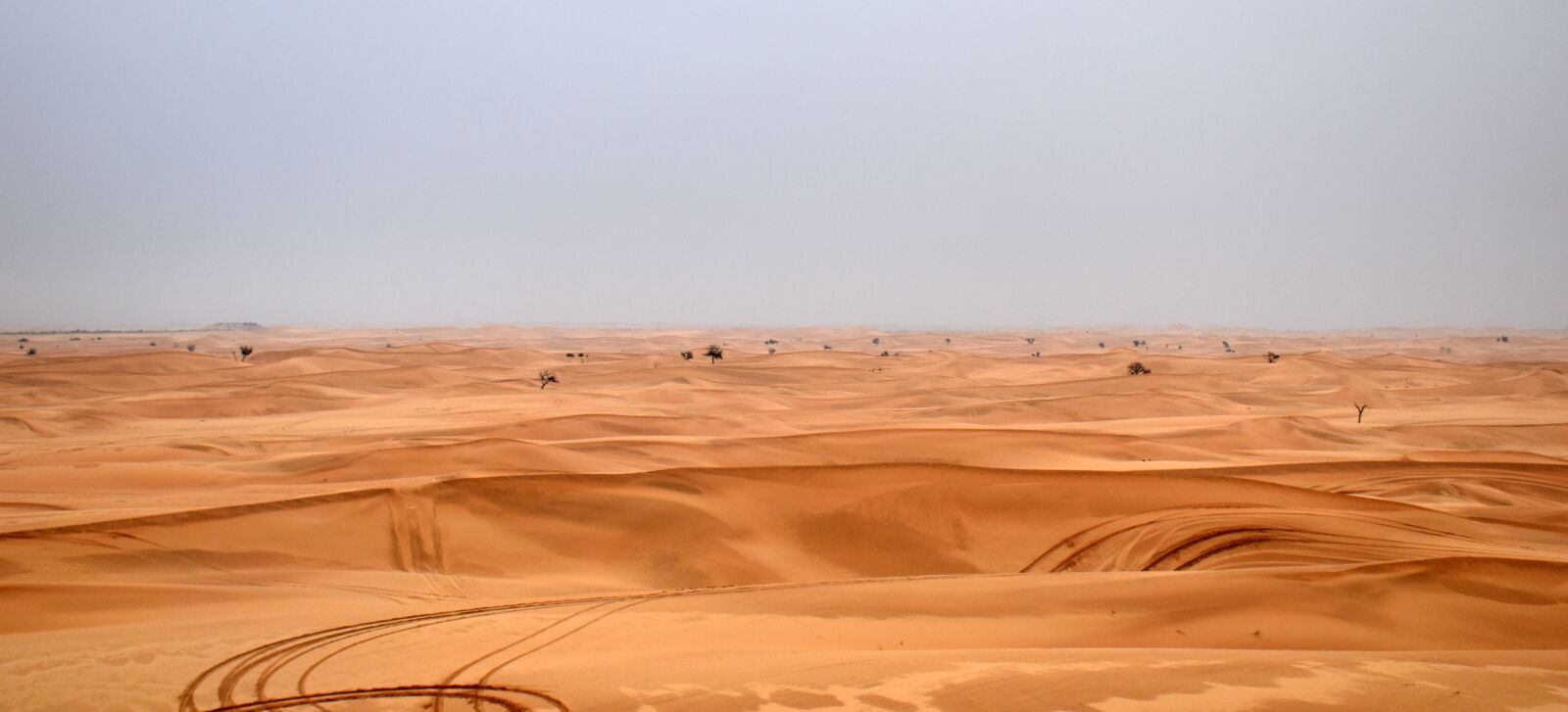 Nikon D5500 sample photo. Dune, safari, path photography