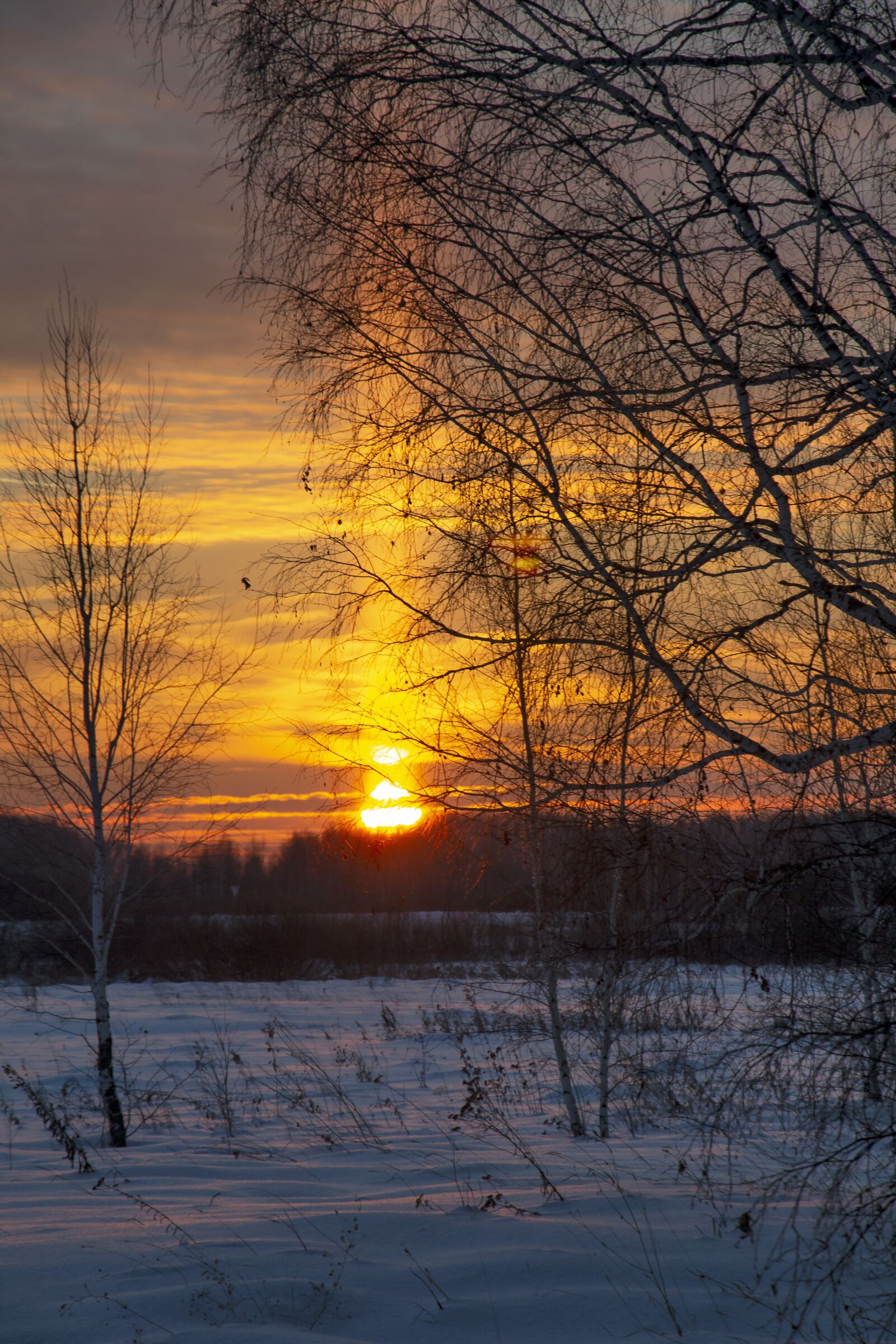 Nikon D3100 sample photo. Sunset, winter, sun photography