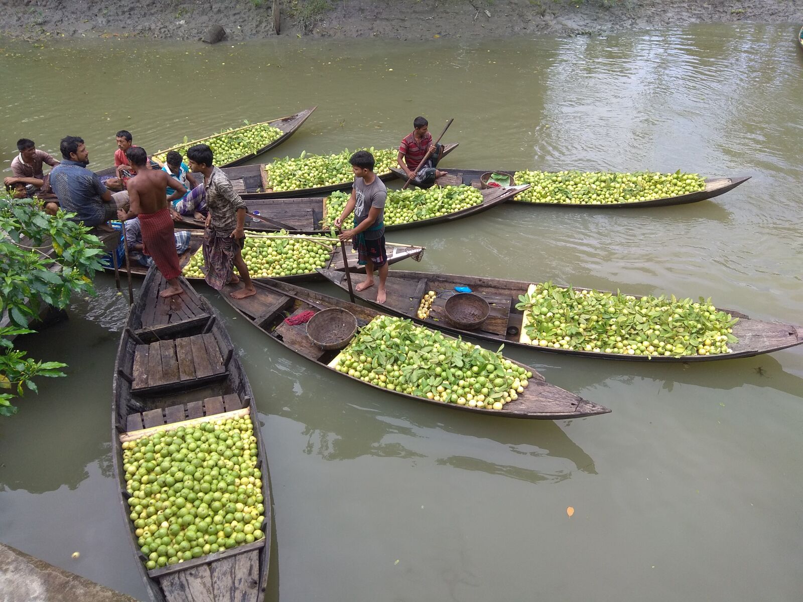 Xiaomi Redmi Note 4 sample photo. Guava, boat, river photography