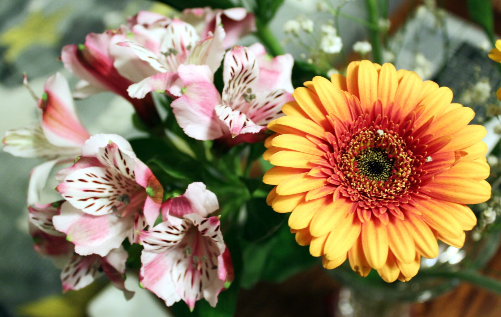 Canon EOS 1100D (EOS Rebel T3 / EOS Kiss X50) sample photo. Flowers, bouquet, floral bouquet photography