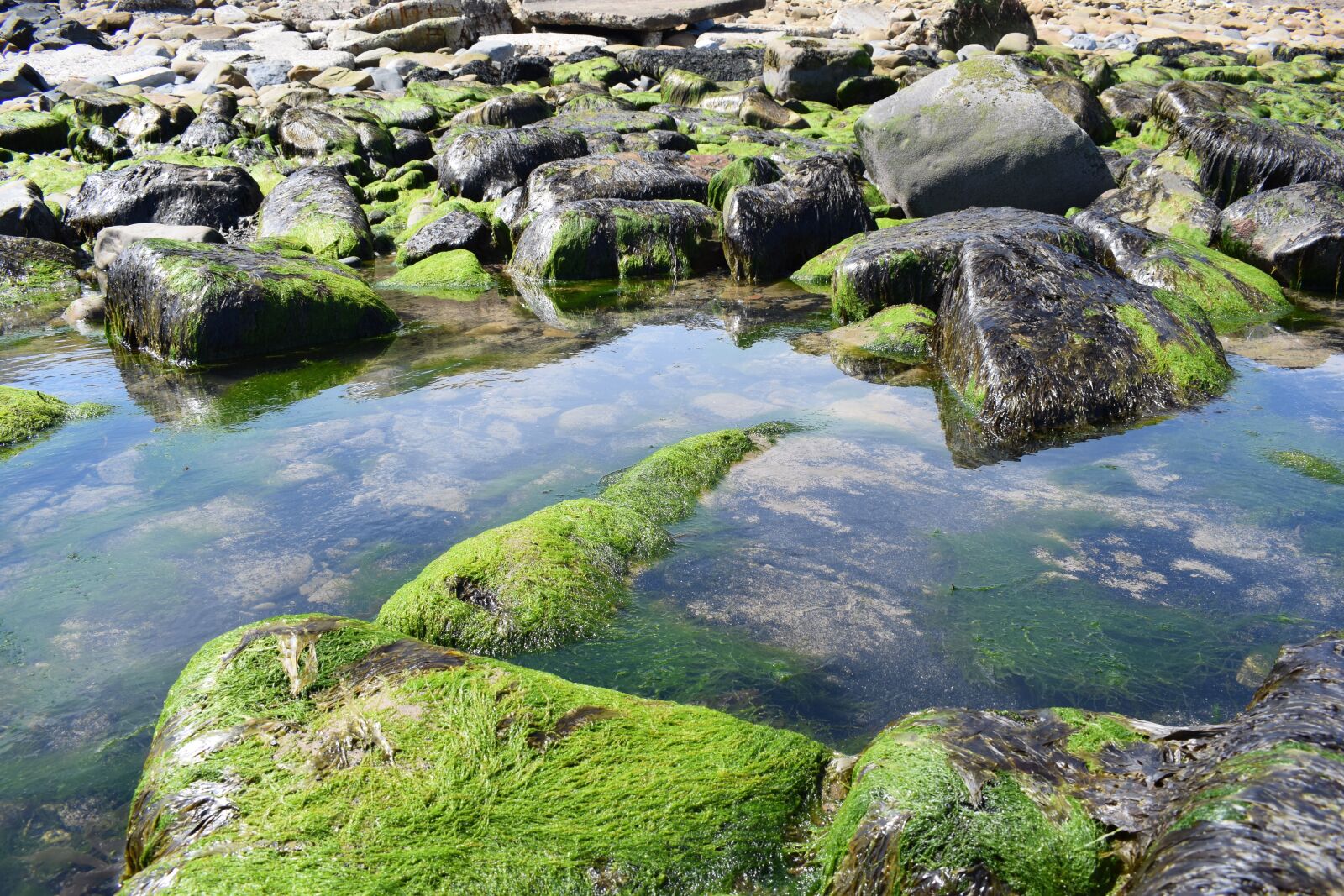Nikon D3300 sample photo. Rocks, water, ocean photography