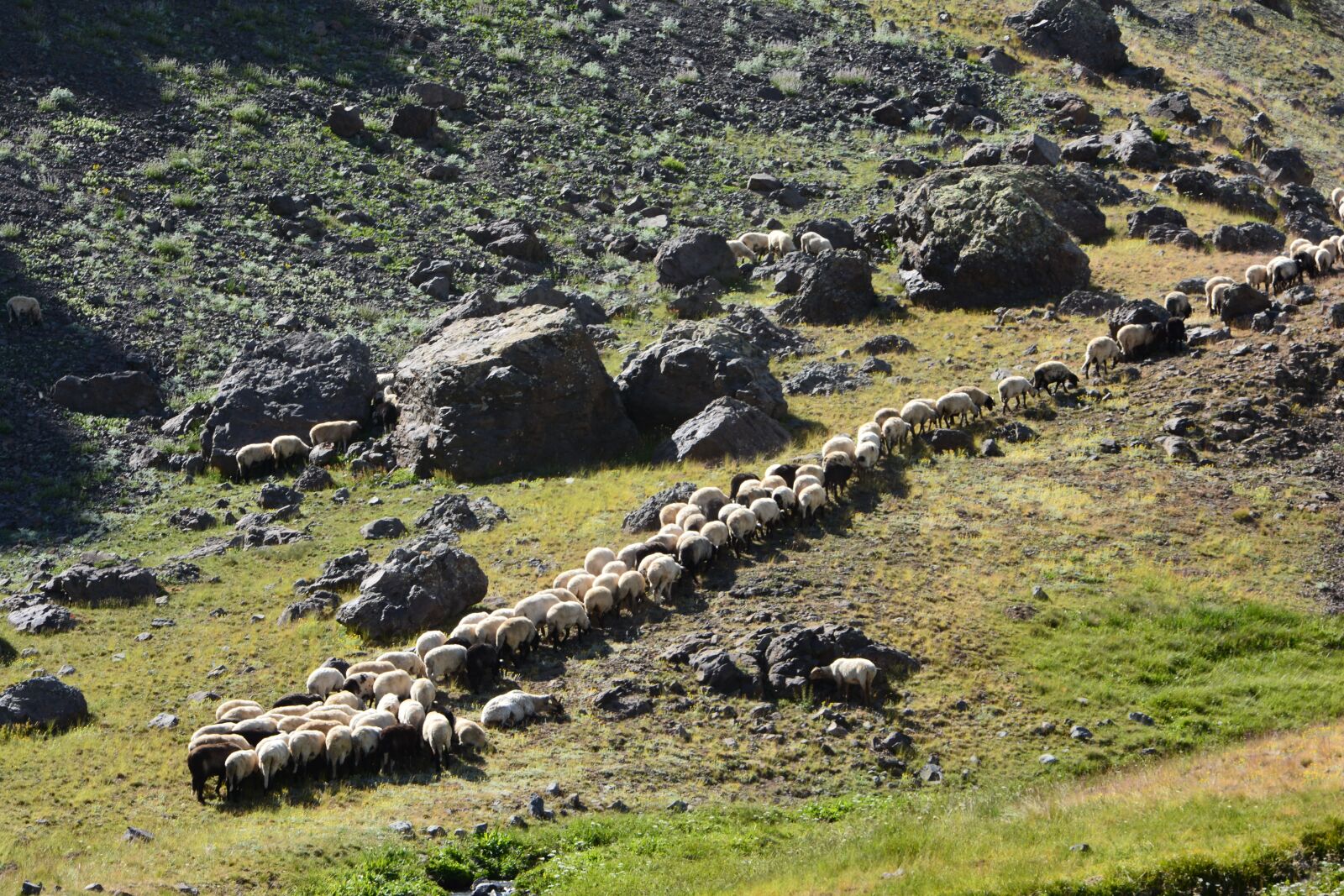 Nikon D7100 sample photo. Nature, landscape, kaçkars photography