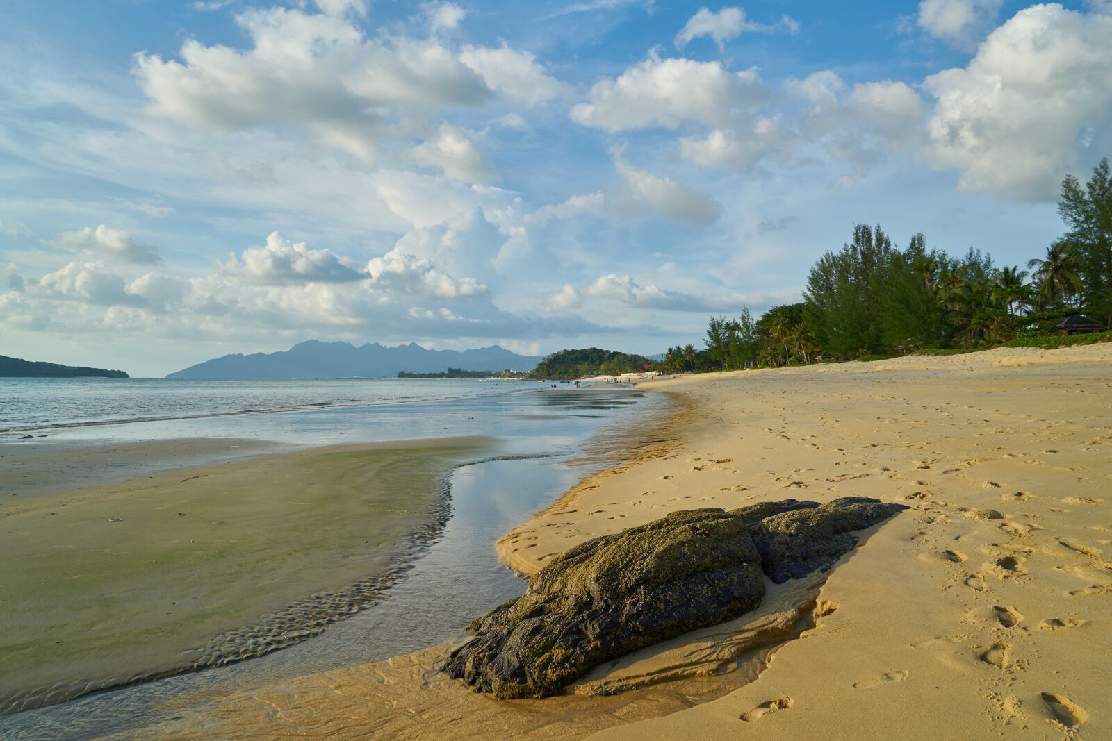 Sony a7R II sample photo. Beach, marine, nature photography