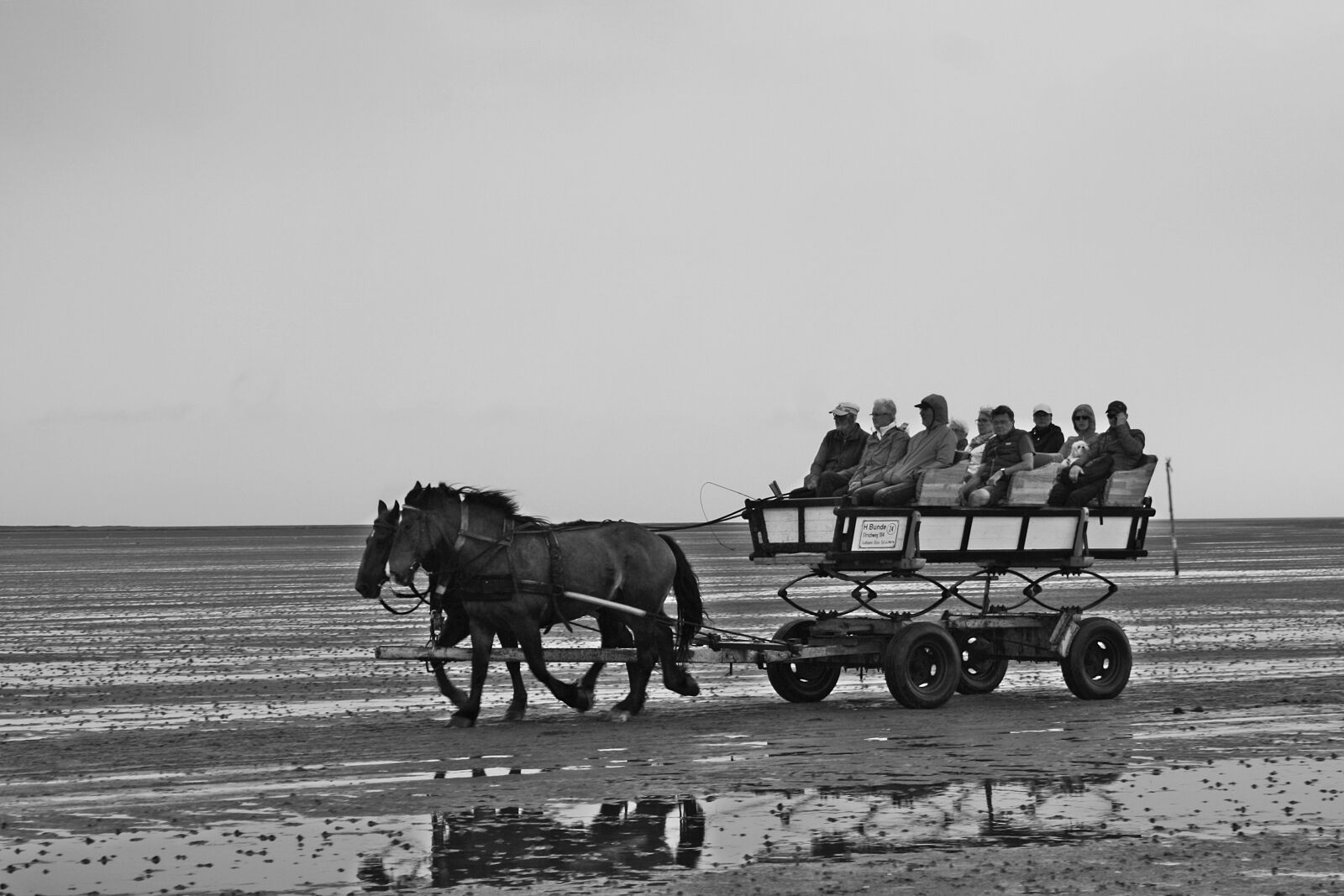 Canon EOS 1000D (EOS Digital Rebel XS / EOS Kiss F) sample photo. North sea, wadden sea photography