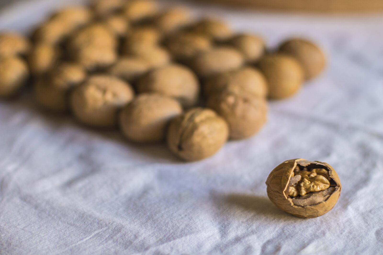 Canon EOS 80D + Canon EF 50mm F1.4 USM sample photo. Nut, walnut, food photography