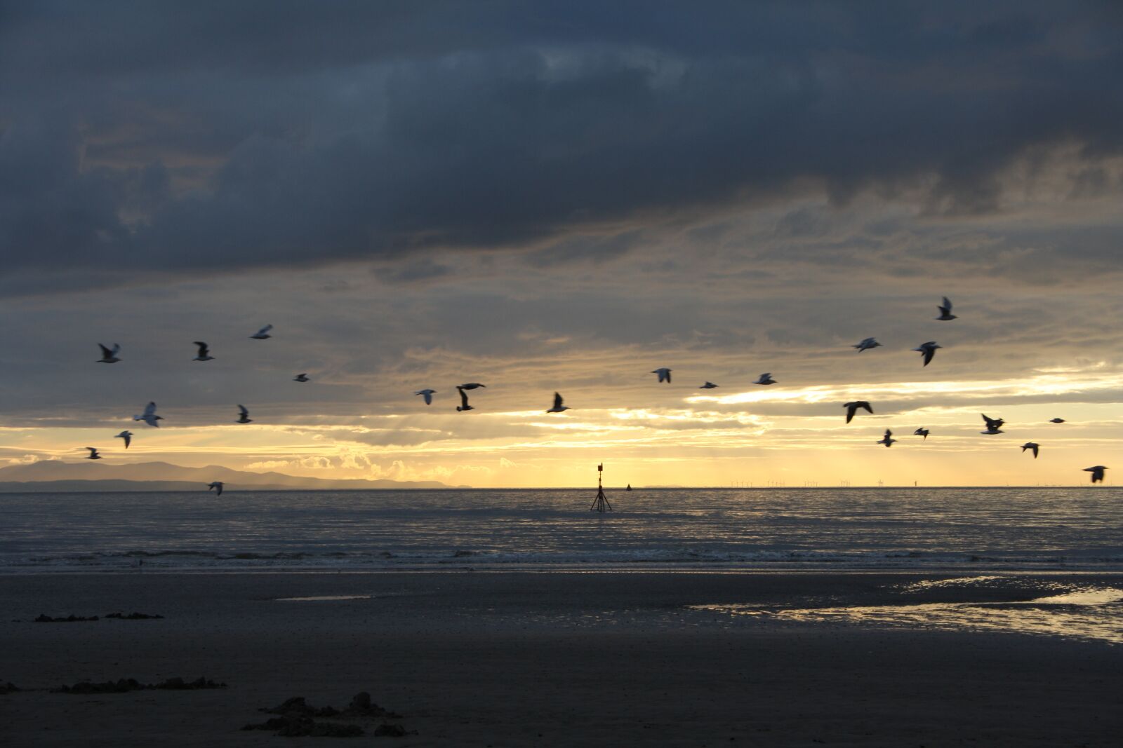 Canon EOS 1000D (EOS Digital Rebel XS / EOS Kiss F) sample photo. Crosby, beach, liverpool photography