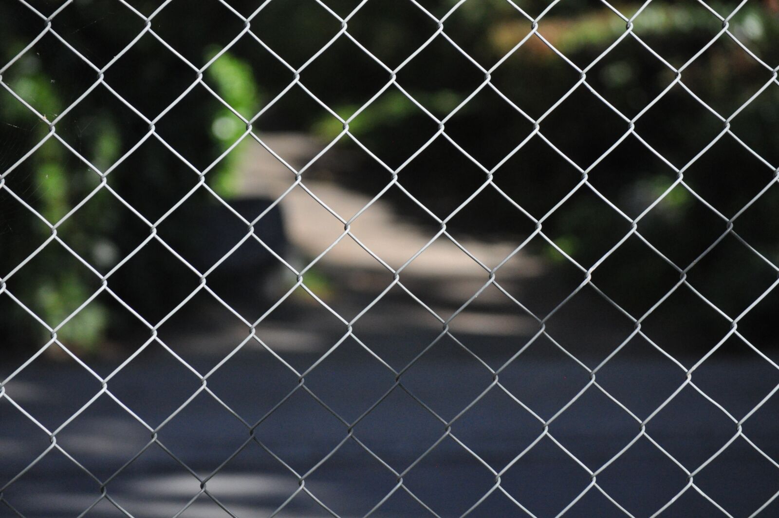 Nikon D5000 sample photo. Fence, steel wire, chain photography