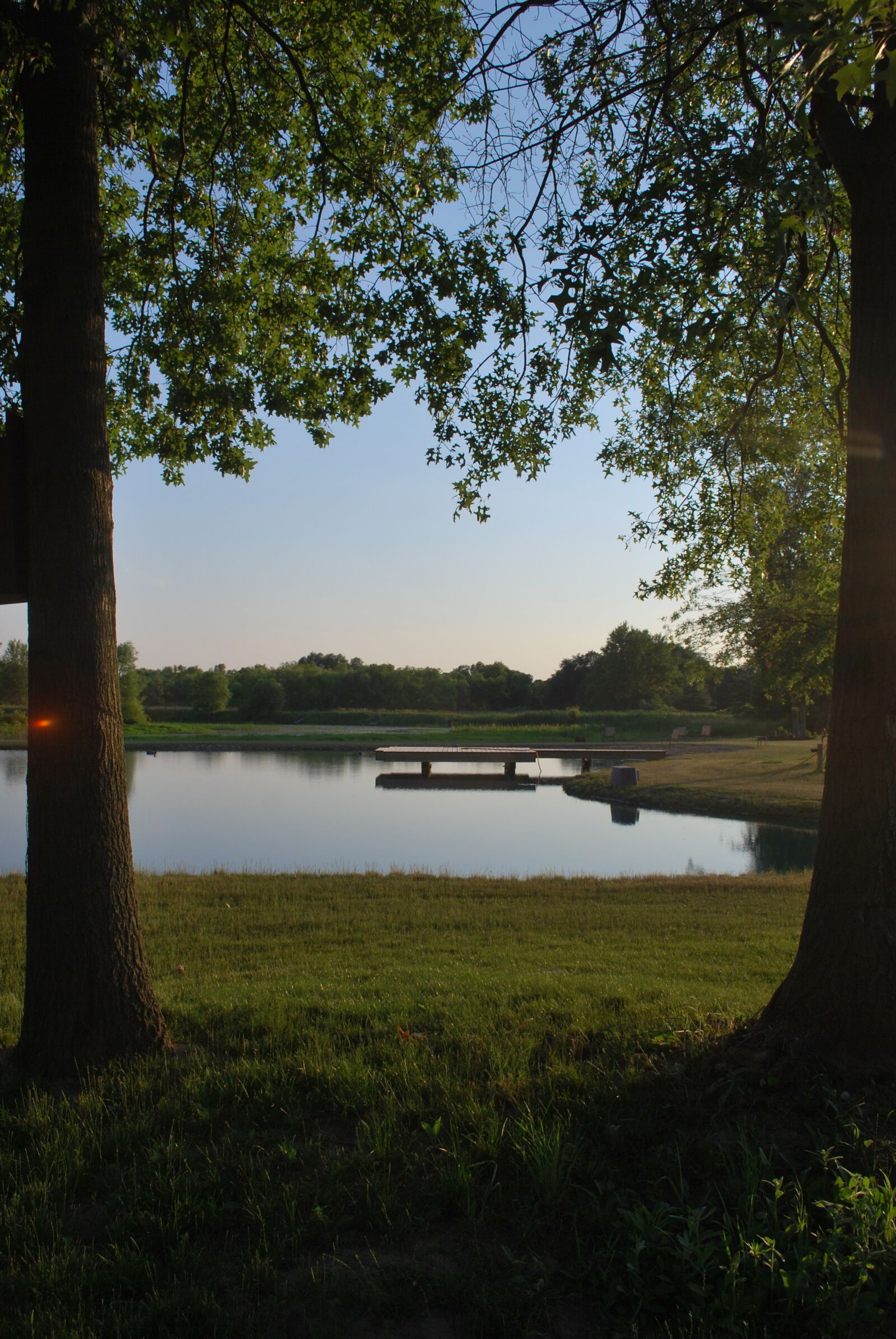 Nikon D60 sample photo. Summer time, pond, indiana photography