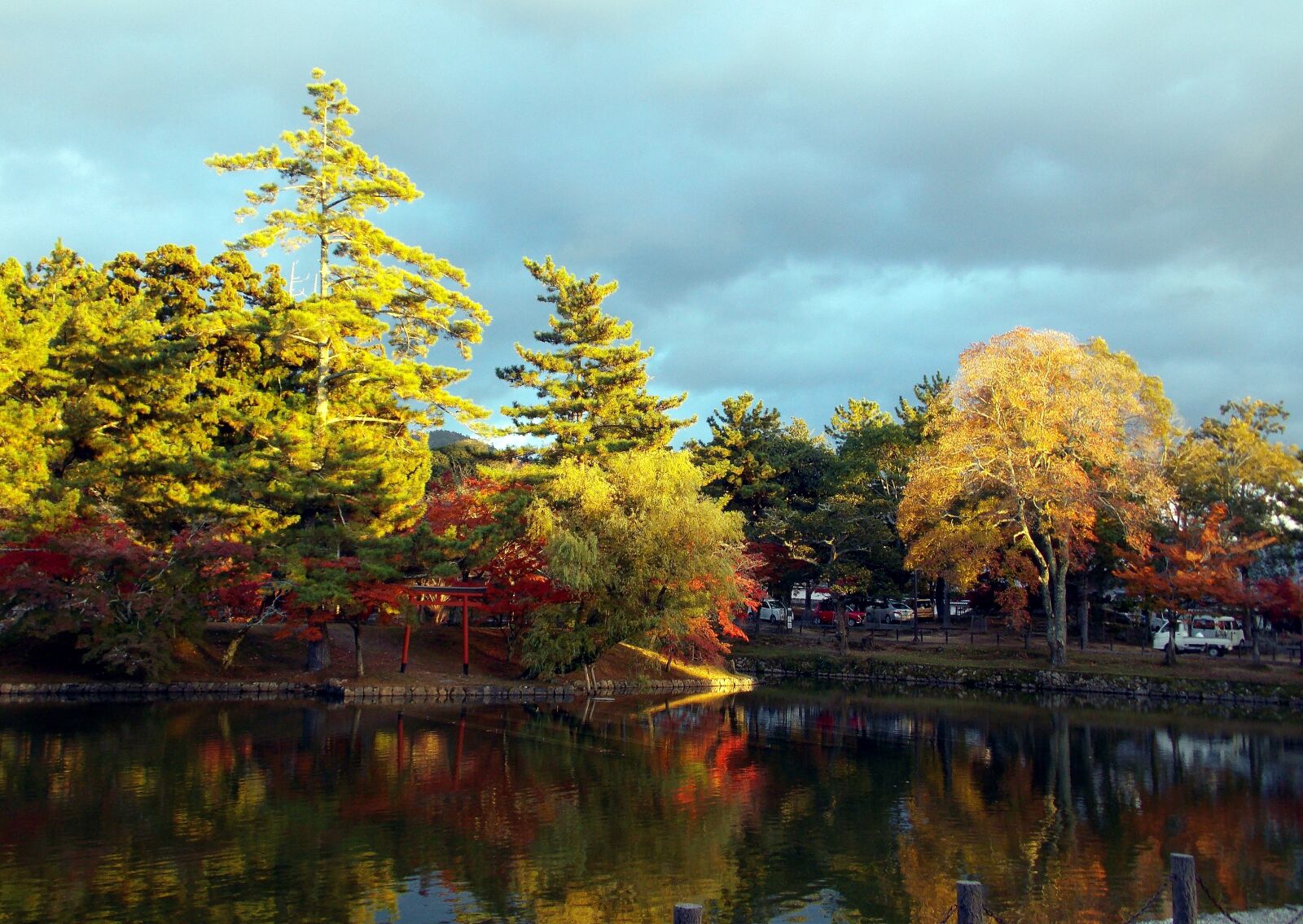 Nikon Coolpix L810 sample photo. Autumn, tree, nature photography