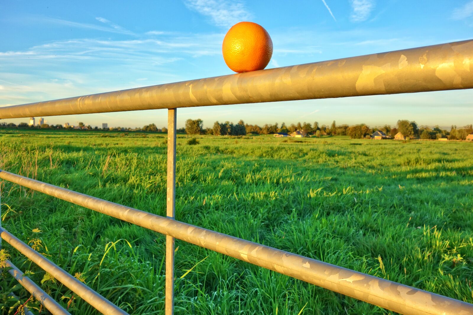 Sony Cyber-shot DSC-RX100 sample photo. Orange, fruit, bar photography