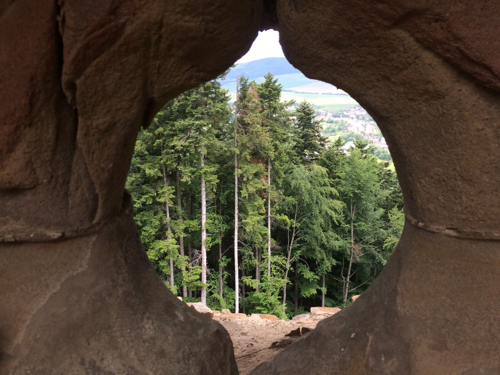 iPhone 5s back camera 4.15mm f/2.2 sample photo. Castle, forest, green, nature photography