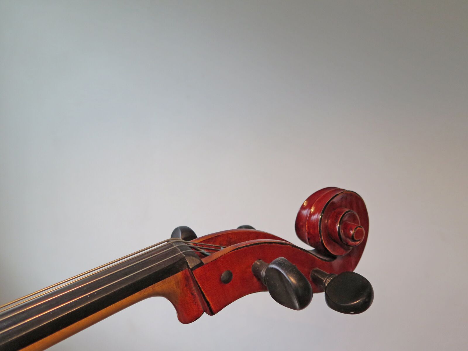 Canon PowerShot G16 sample photo. Cello, strings, instrument photography