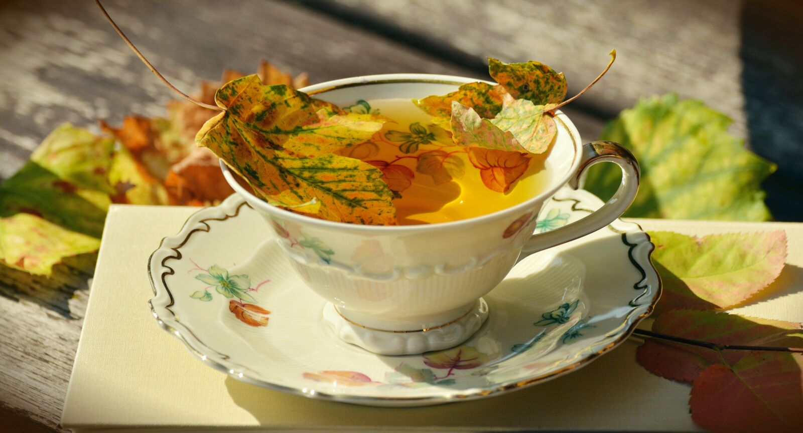 Nikon D5200 sample photo. Tee, teacup, autumn photography