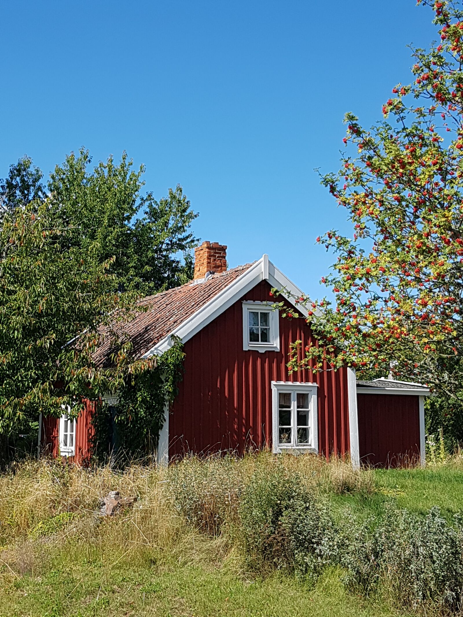 Samsung Galaxy S7 sample photo. Torp, summer cottage, cottage photography