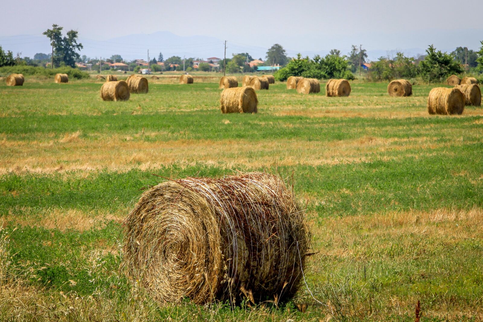 Canon EF-S 17-85mm F4-5.6 IS USM sample photo. Landscape, nature, summer photography