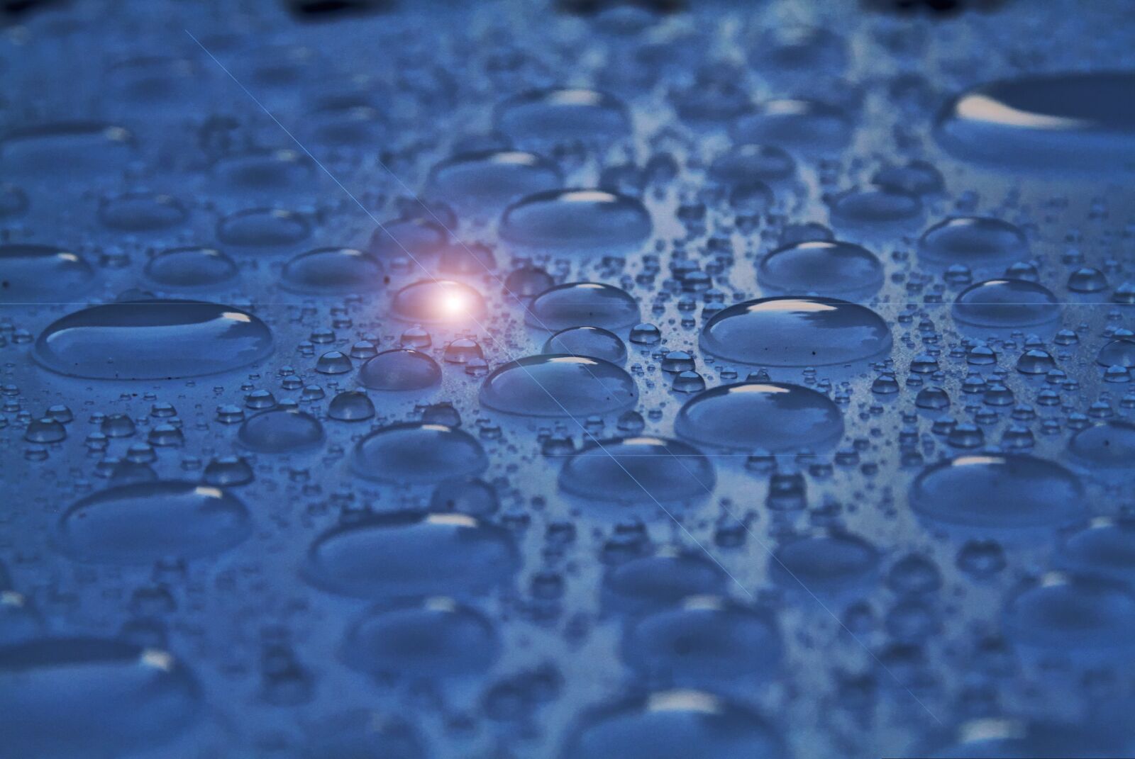 Canon EOS 7D sample photo. Raindrop, droplets, reflection photography