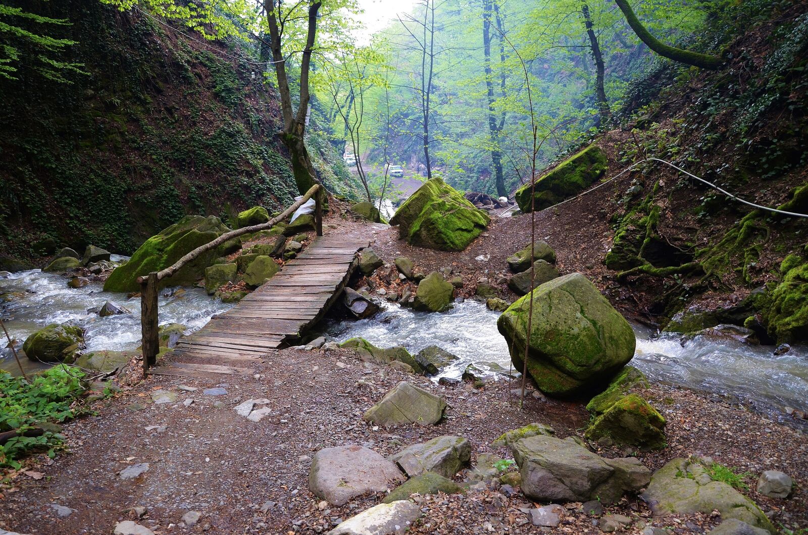 Nikon D7000 sample photo. Forest, water, steps photography