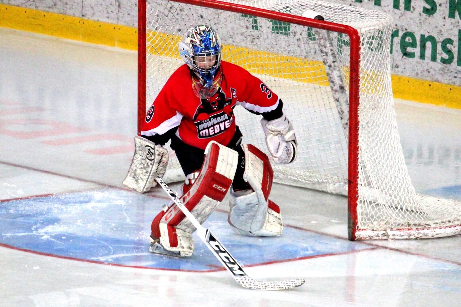 Canon EF-S 55-250mm F4-5.6 IS STM sample photo. Hockey, goalkeeper, sport photography
