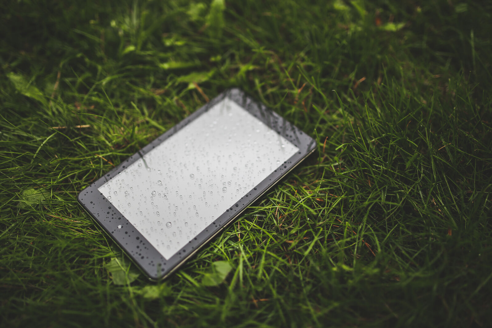 Canon EOS 6D + Sigma 35mm F1.4 DG HSM Art sample photo. Tablet, on, the, grass photography