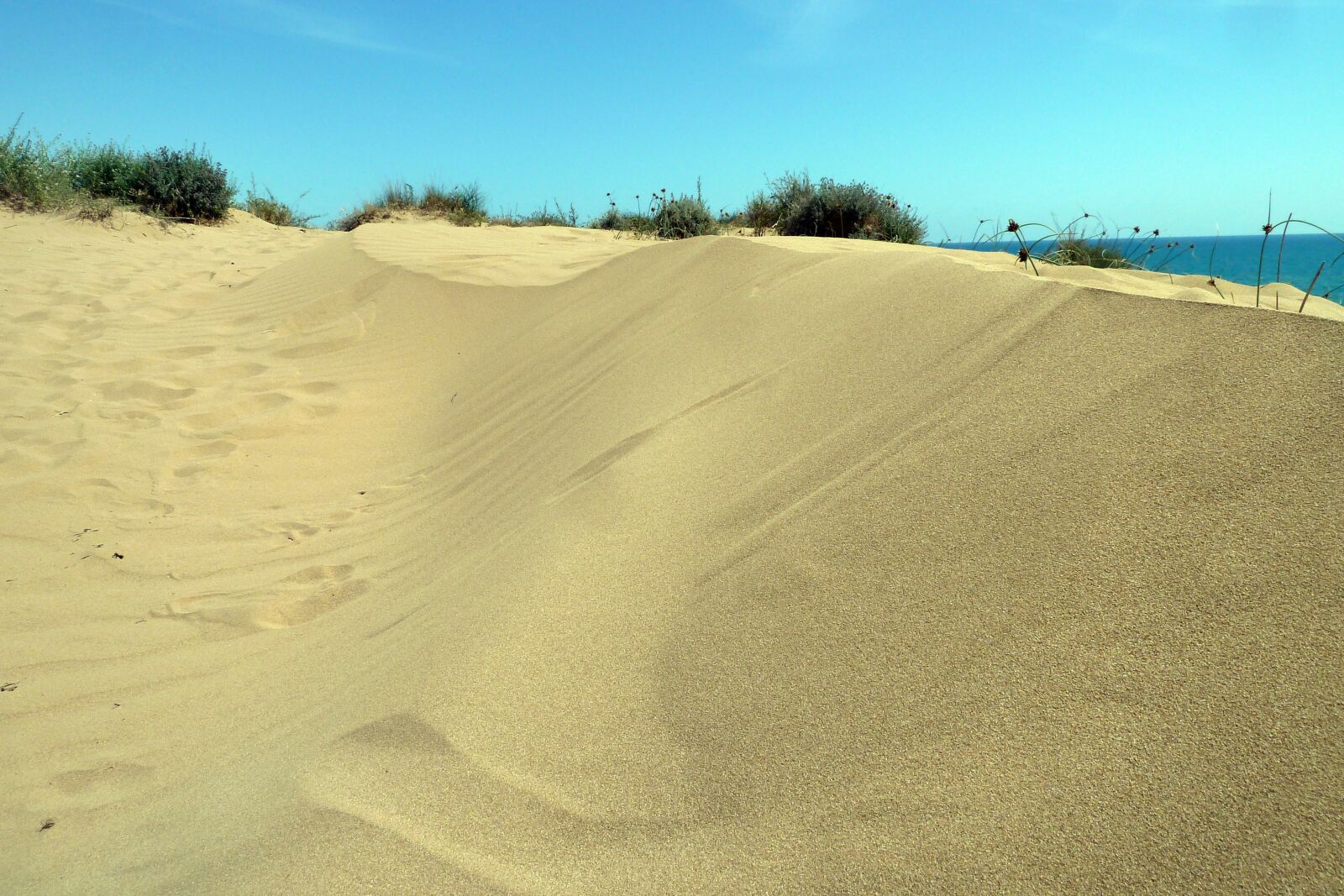 Panasonic Lumix DMC-ZS7 (Lumix DMC-TZ10) sample photo. Dune, sand, desert photography