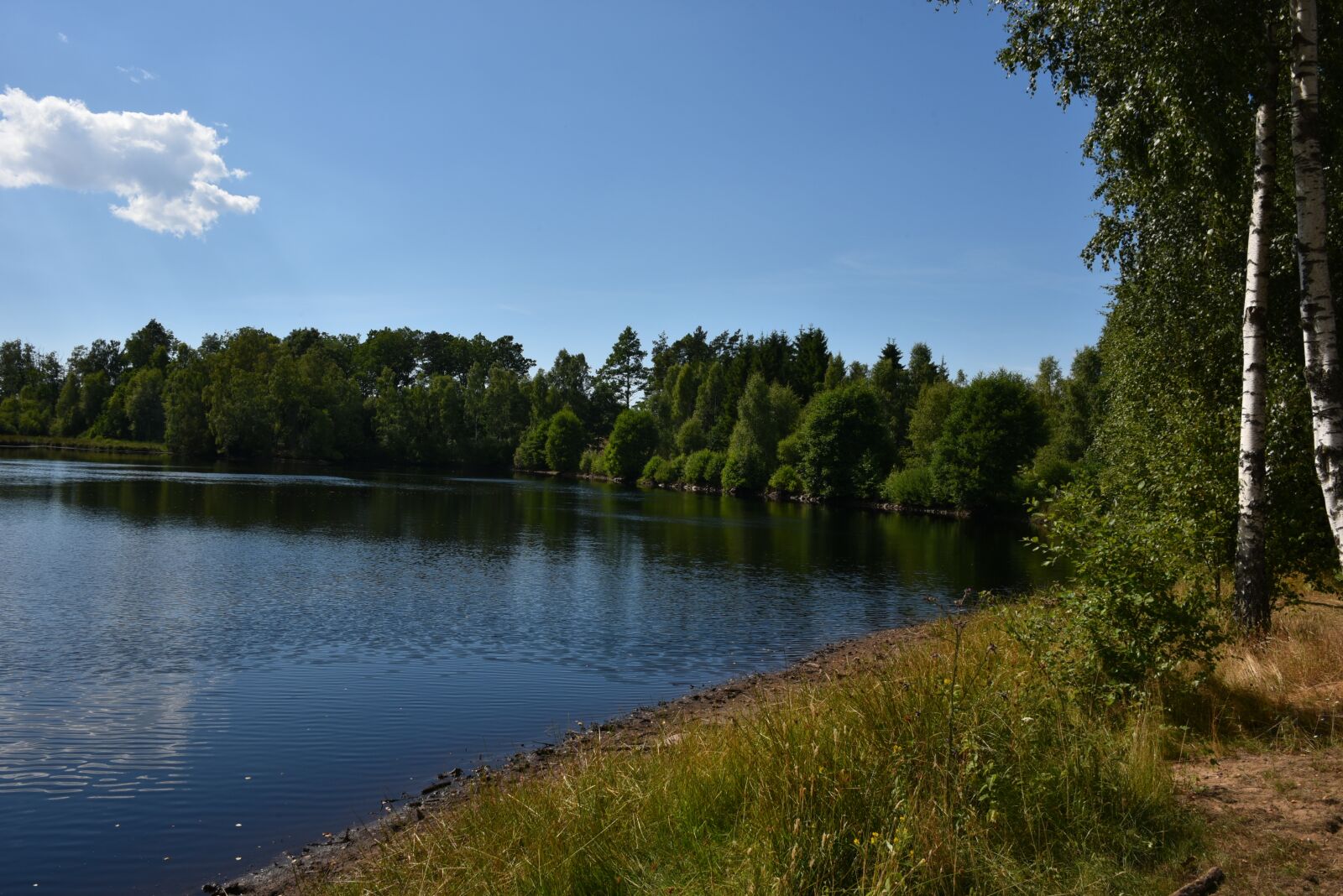 Nikon D750 sample photo. Lake, sweden, water photography