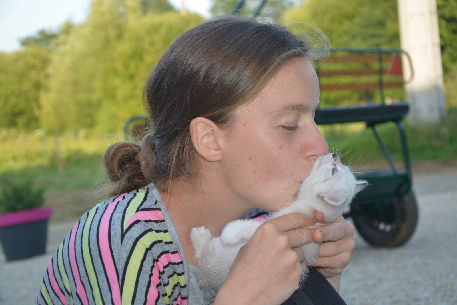 Nikon D5200 sample photo. Kiss, kisses, kitten photography