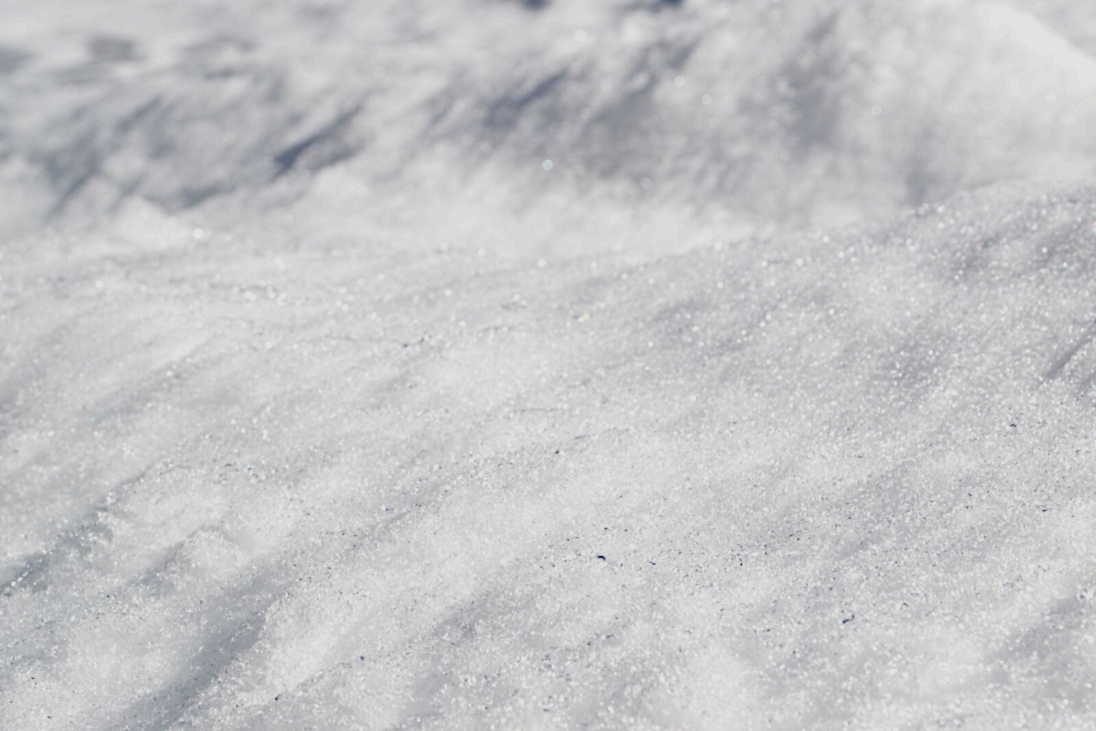 Nikon D3100 sample photo. Outside, snow photography