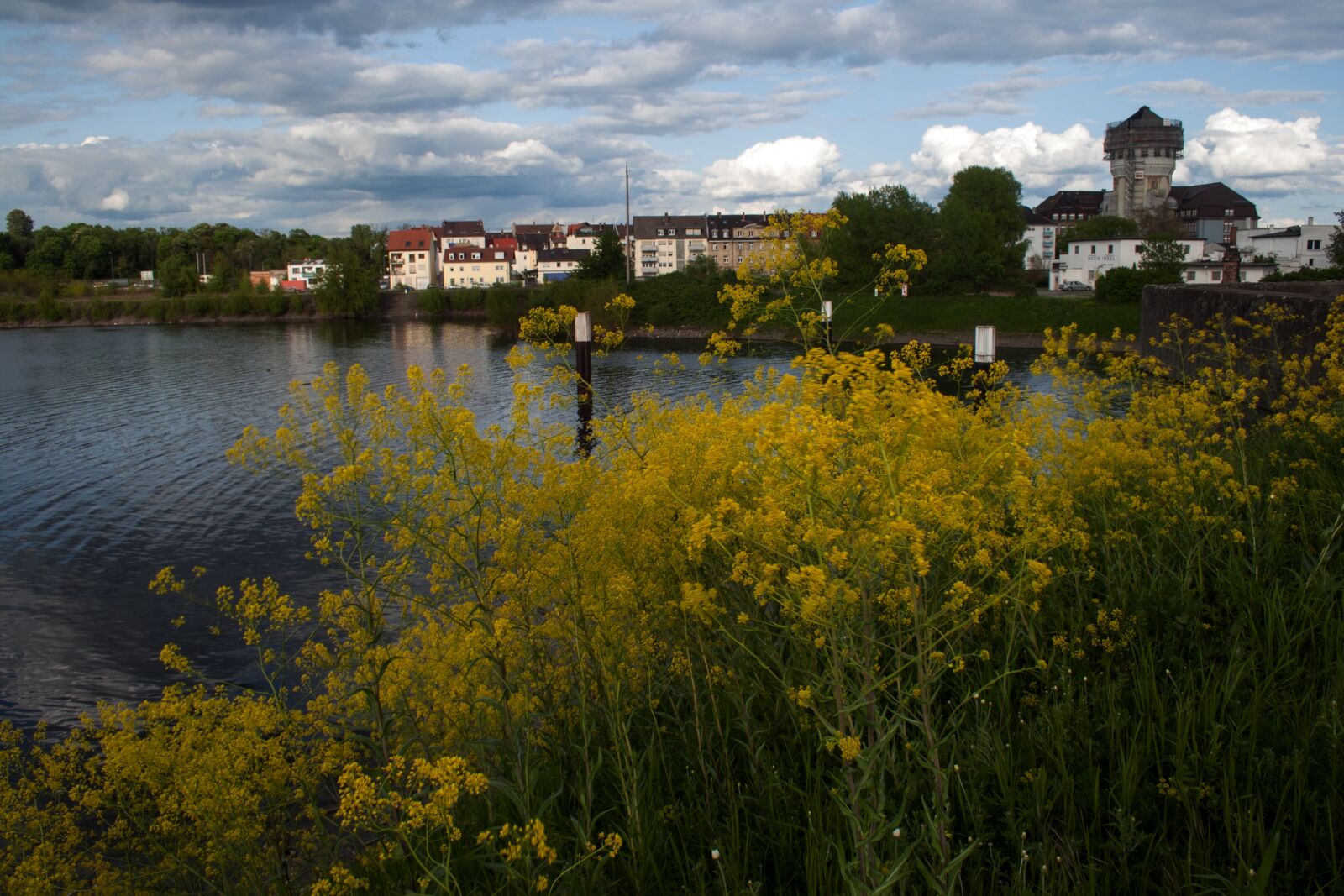 Canon EF-S 18-55mm F3.5-5.6 II sample photo. Old rhine, rhine, mannheim photography