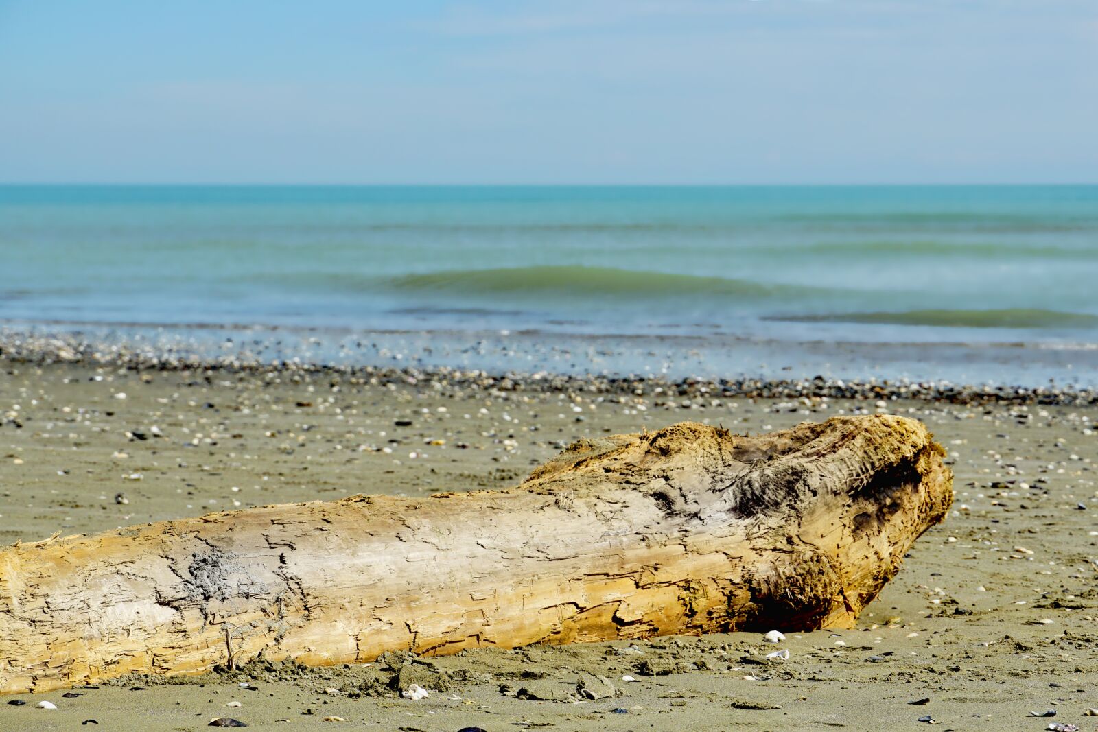 Sony E 18-135mm F3.5-5.6 OSS sample photo. Waters, sea, drift wood photography