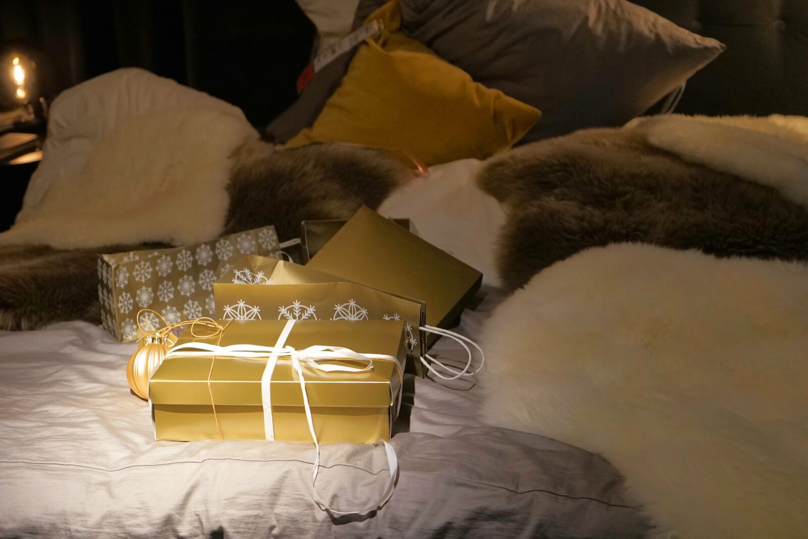 Sony a7 II + Sony Vario Tessar T* FE 24-70mm F4 ZA OSS sample photo. Gift, christmas, surprise photography